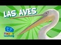 Las Aves | Videos Educativos para Niños