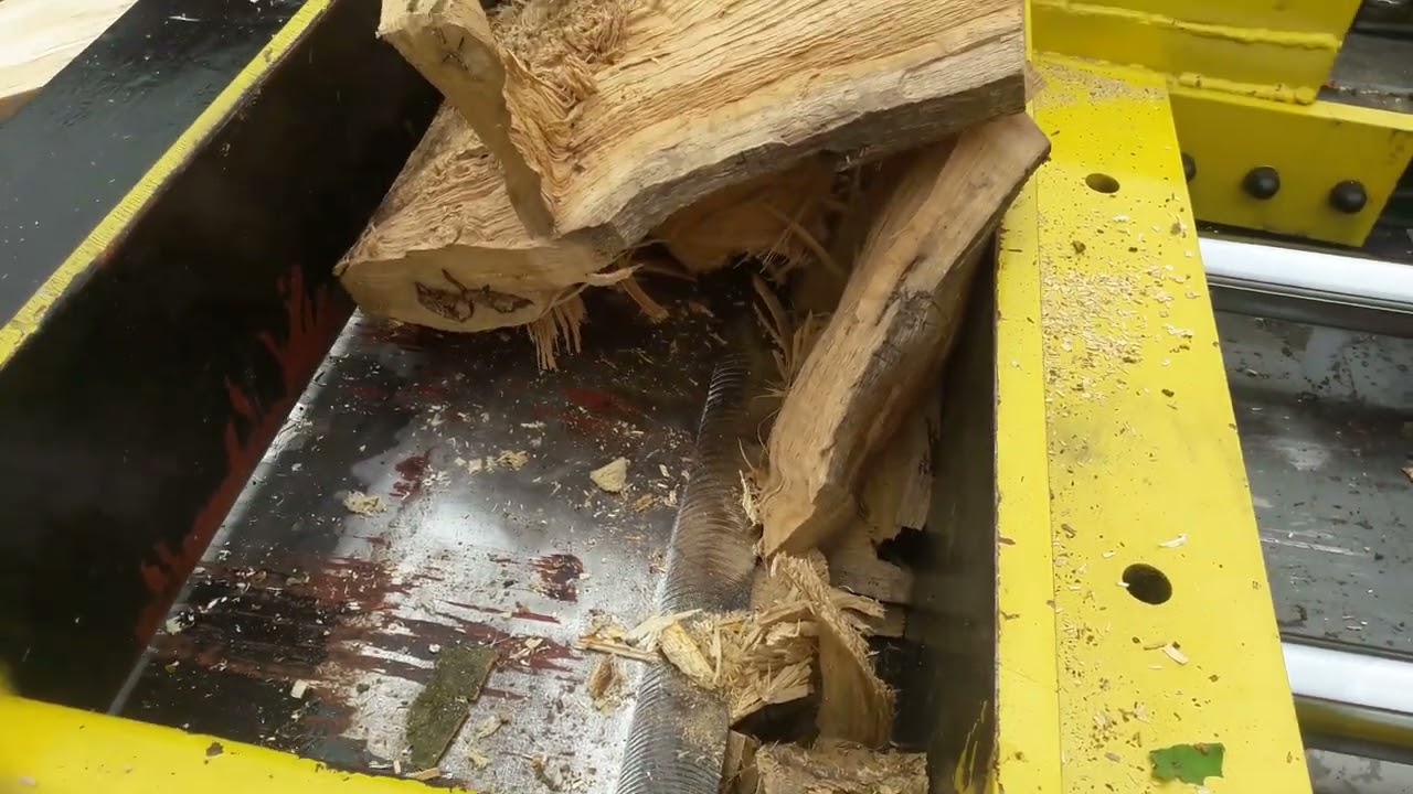 Eichen Knurre gegen Schichtholzspalter