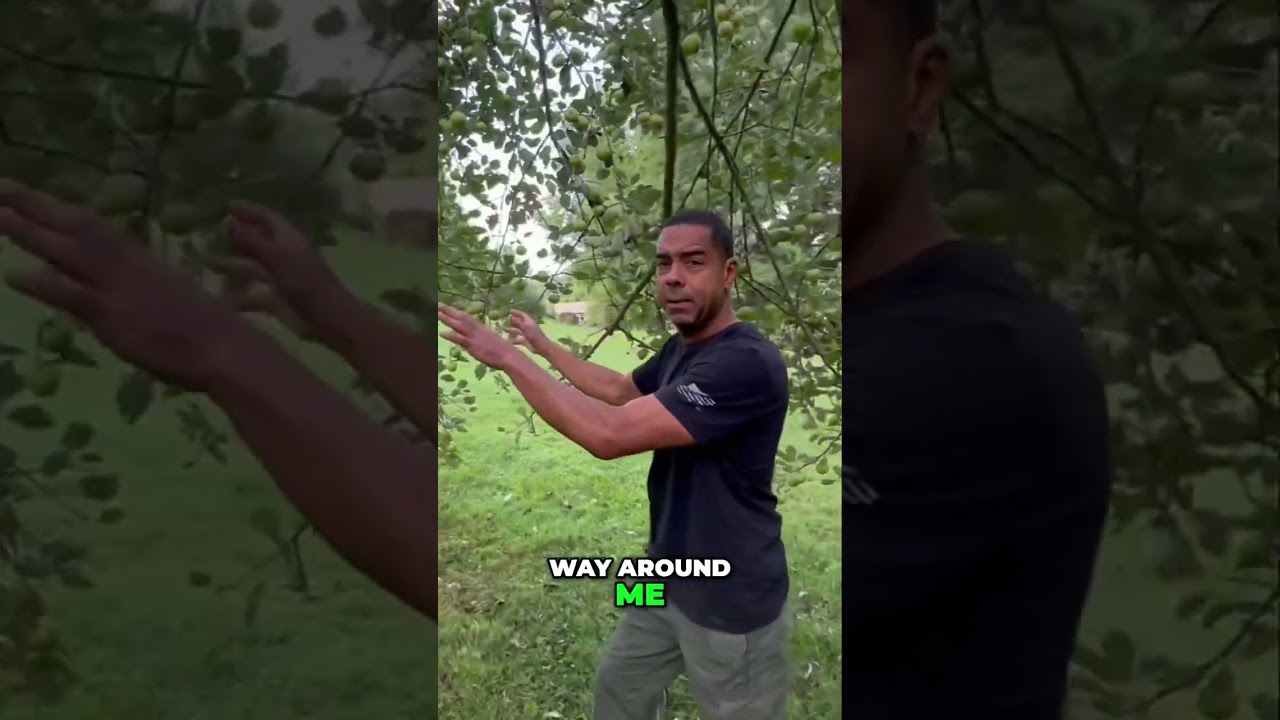 Foraging for Food at Mars Hill University: A Hidden Apple Paradise!