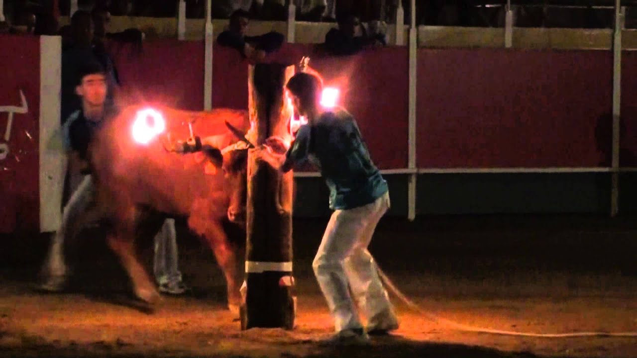 concurso emboladores Borja 2011