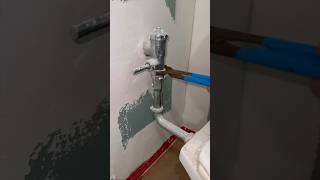 Flushometer toilets are better #advice #howto