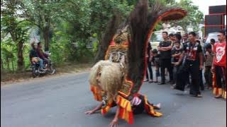 Reog Ponorogo Ngamuk Kesurupan