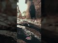 دعاء لأمي في يوم عرفه