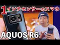 【スマホ】AQUOS R6のカメラ！1インチセンサーって何が凄いの？使ってみてわかること！