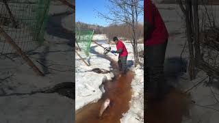 Sea Fishing Adventure in Deep Ocean 🎣 Catching Giant Fish with Traditional Skills