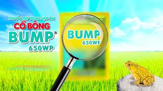 ADC_Bump Vàng_giới thiệu 02