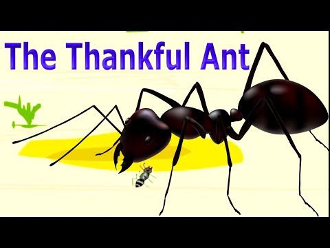 The Thankful Ant Moral Story For Kids | Short Stories For Children | Nursery Rhymes For Kindergarten