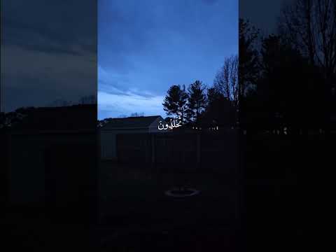 أتبنون بكل ريع آية تعبثون ياسر الدوسري   