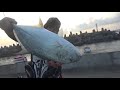 沖縄 動画写真7b