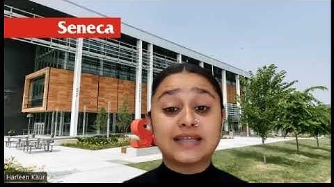 Elevator Pitch | Data Visualization | Group 4 | Forbes dataset 2017