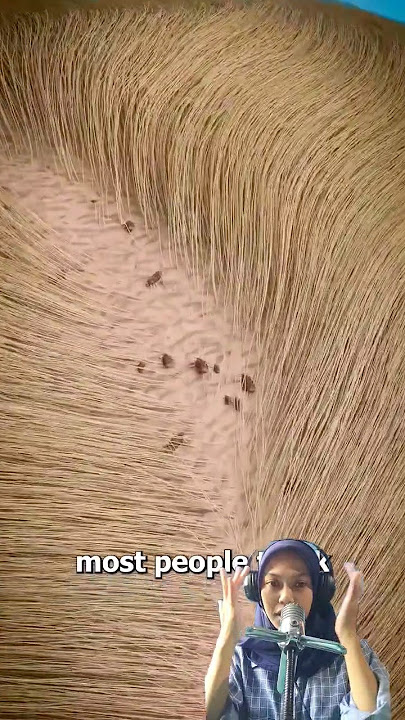 Kenapa Kulit Terasa Gatal Ketika Memiliki Kutu Rambut 🤔 #hair #trending #education #sains #shorts