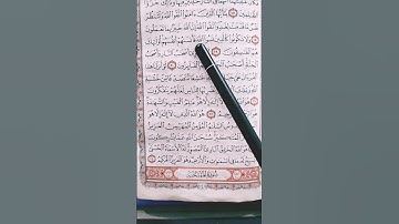 قرآن كريم راحة نفسية ❤️😌 تلاوة خاشعة من سورة الحشر القارئ عبدالله علي #short