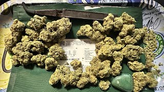 Suit & Tie - 28 grams by Modern Flower