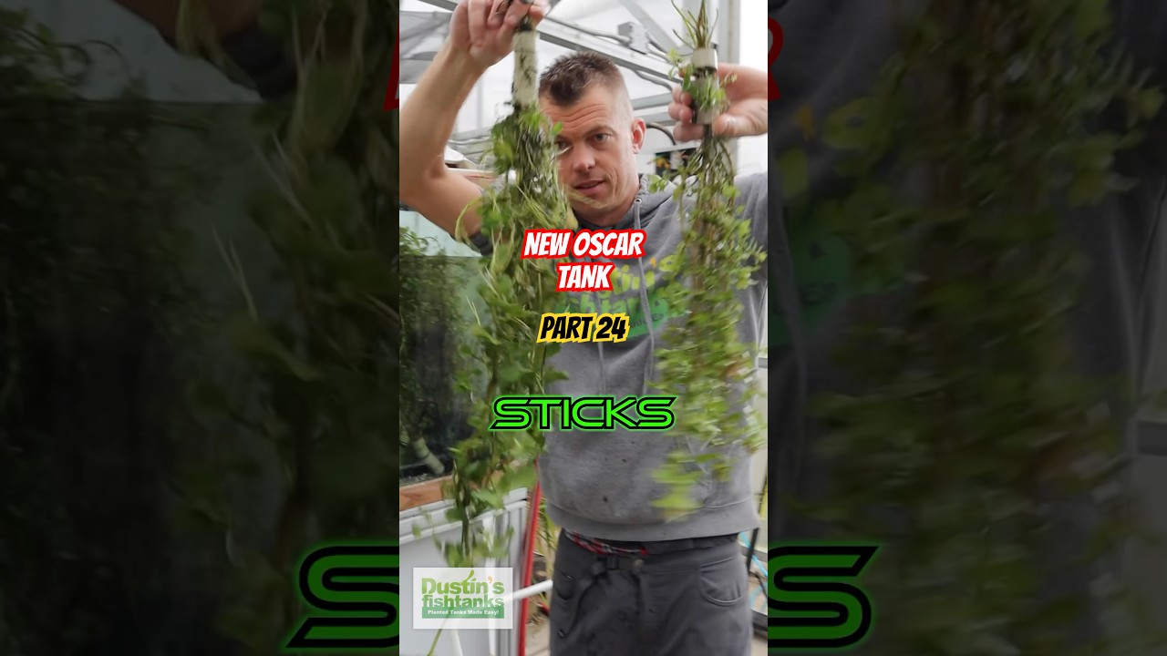 Dank Sticks