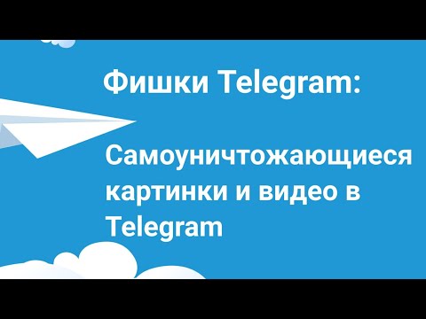 Самоуничтожающиеся картинки и видео можно отправить через секретные чаты Telegram