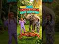 NUR & CERI Punya GAJAH Dan KEPITING 🐘🦀😱 #shorts #gajah #kepiting