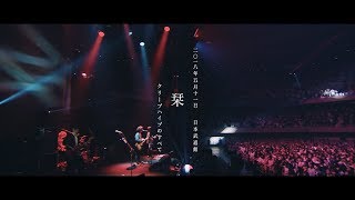 クリープハイプ -「栞」(OFFICIAL VIDEO)