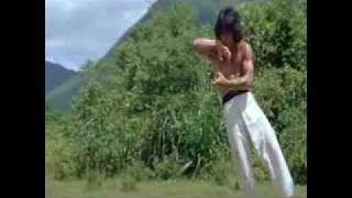 Jackie Chan Drunken Master 8 Drunken Gods