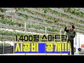 1400평 스마트팜 시공비 공개!! / 귀농 / 스마트팜 시공비