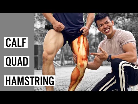 Video Cách chia bài tập chân toàn diện cho mọi đối tượng????????... - youtube
