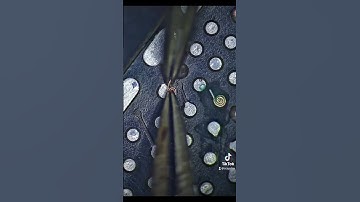 one-stop pcb/pcba manufacturer👨‍🔧 #scspcba #scspcb #pcb #pcba