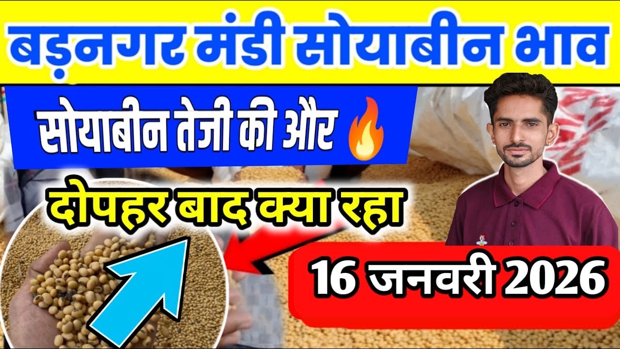 16 जनवरी 2026 बड़नगर मंडी सोयाबीन भाव दोपहरबाद /Today soyabin ret