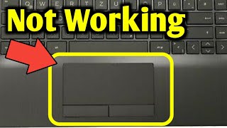 Laptop Touchpad Not Working Windows 10 | Dell Laptop Windows 10 Touchpad Not Working