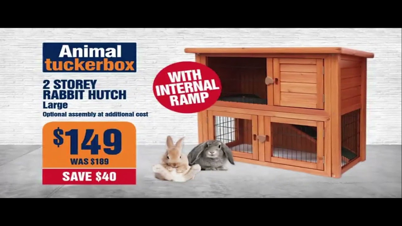 Animal Tuckerbox YouTube