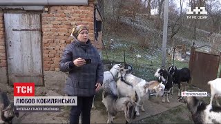 "Я і мої кози": селянка стала відомою завдяки YouTube-каналу про сільське життя