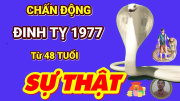 ☯ Chấn Động Sự Thật Bất Ngờ ĐINH TỴ 1977 Về Già Phật Độ HẾT KHỔ ĐỔI ĐỜI CỰC GIÀU