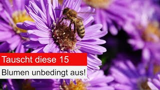 Alternativen für invasive Neopyhten im Garten? Hier sind die passenden Pflanzen!