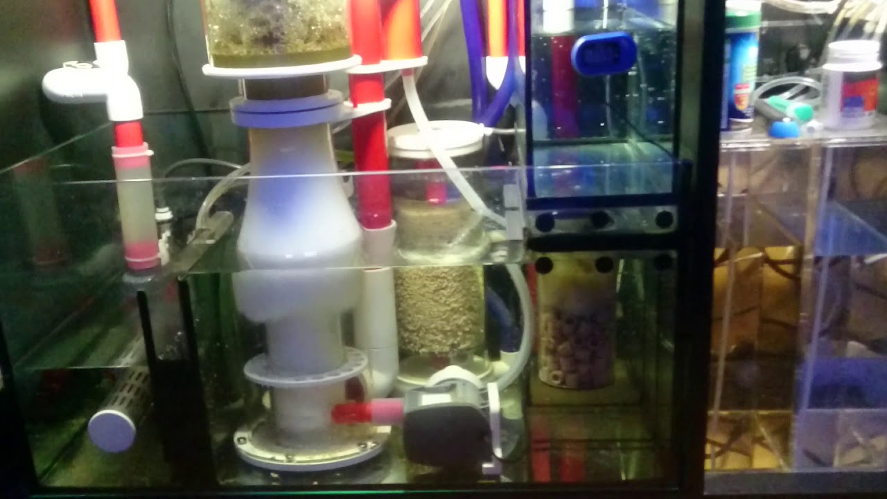 Red Sea Reefer 350 Sump Update Youtube Red Sea Reefer 350 Sump Update Youtube