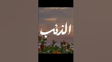 الشيخ مشاري راشد العفاسي   سوره يوسف