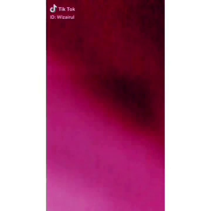 DSV - Lavida Raya (Musical.ly X TikTok) (MV)
