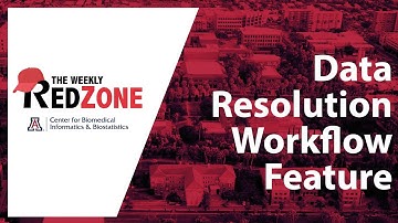 REDZone - Data Resolution Workflow Feature