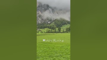 مقطع قرآن قصير بصوت جميل 🌿 #القارئ_اسلام_صبحي 🎙❤️ ‏حين يحين الرزق ..‏تتهيأ أسبابه ..ولو صعبت سُبله 💛