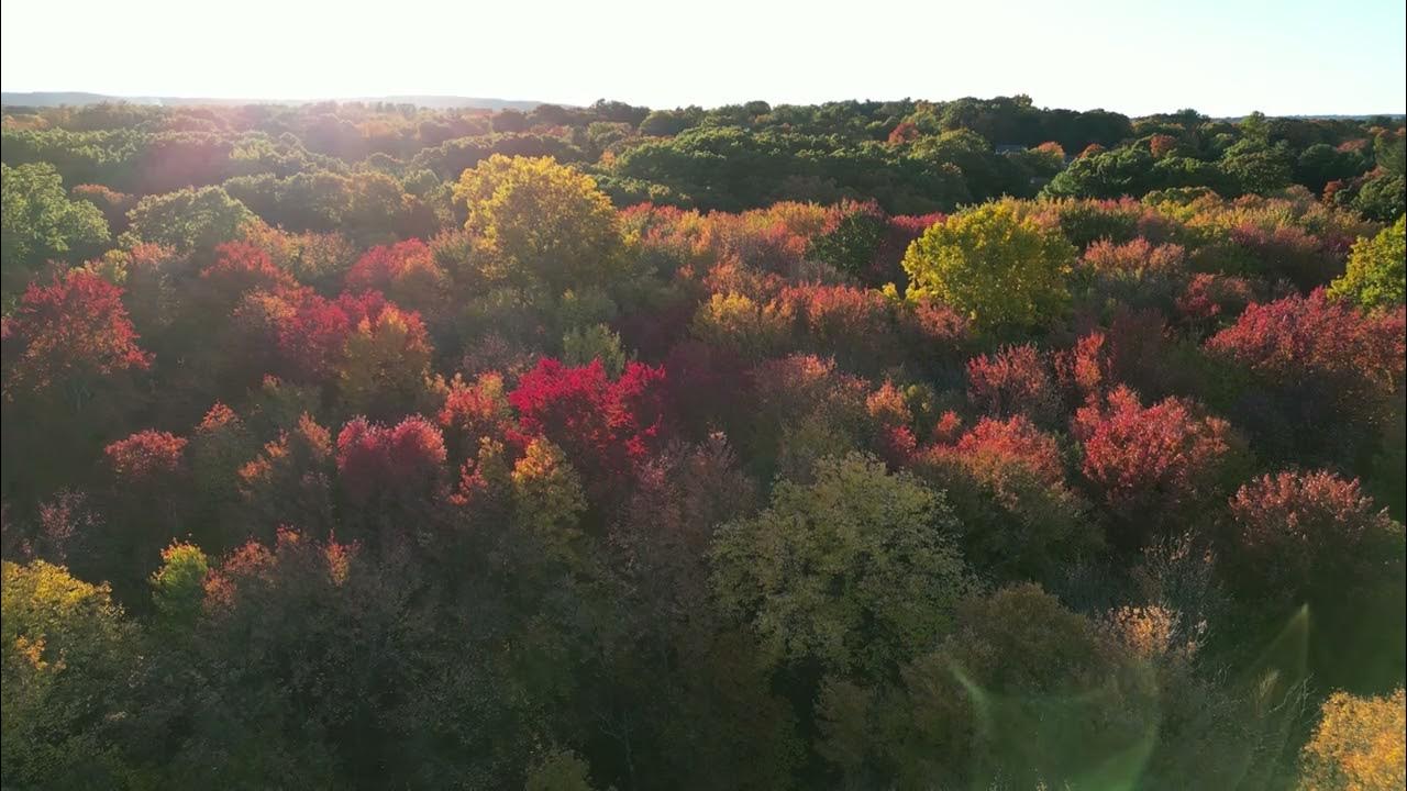 Norton Park Plainville CT Foliage. YouTube