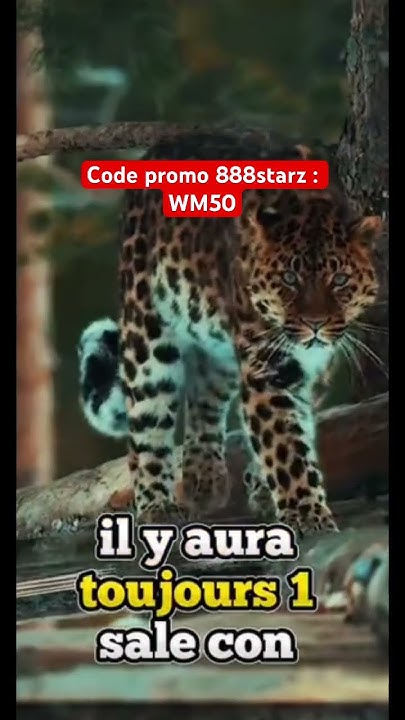 Code promo 888starz : WM50 - YouTube