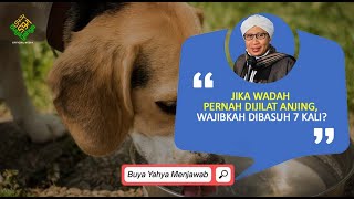 Jika Wadah Pernah Dijilat Anjing, Wajibkah Dibasuh 7 Kali? | Buya Yahya Menjawab