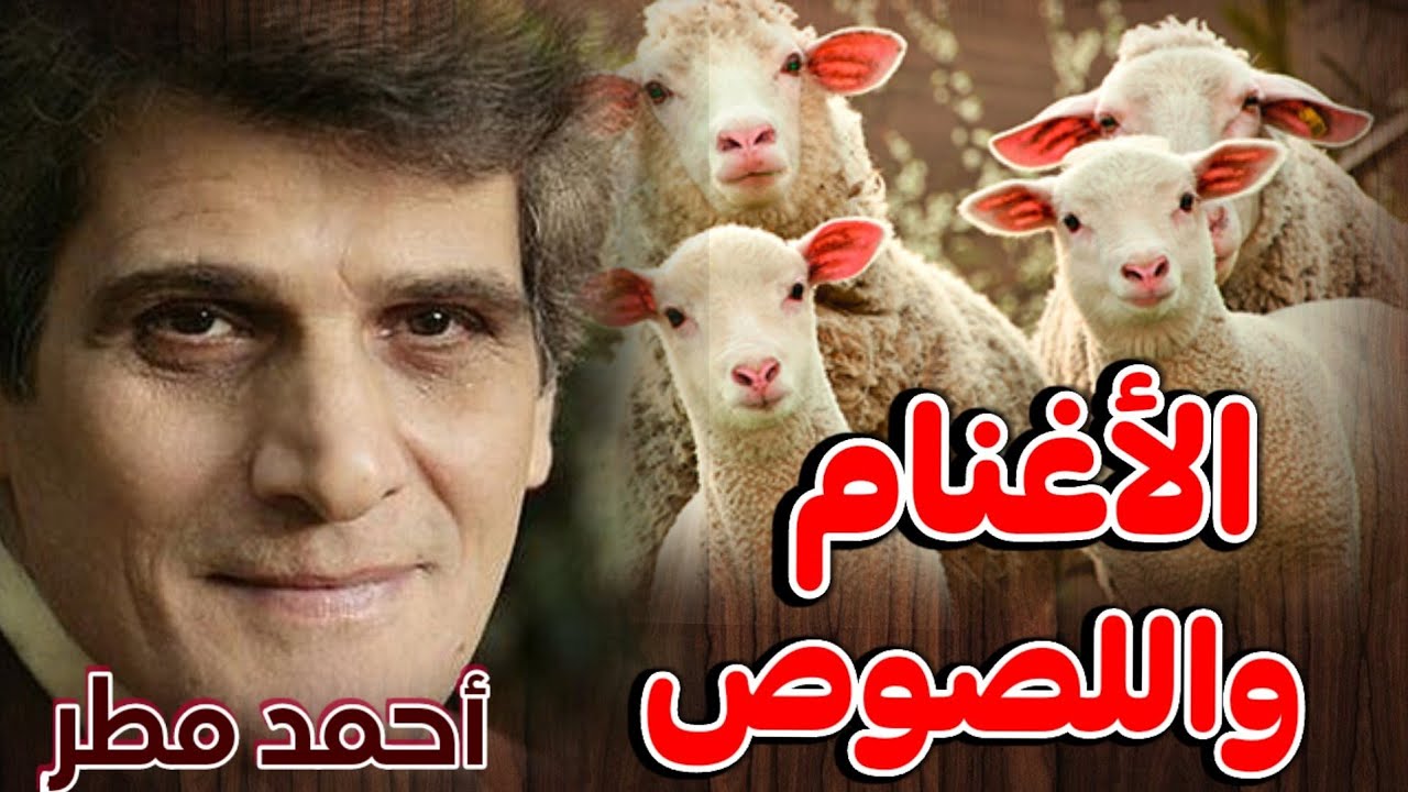 الأغنام واللصوص!! القصيدة التي فضحت الحكام العرب وأزلامهم (أحمد مطر)