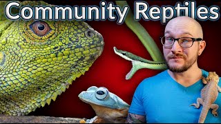 Controversial Reptile Community Tanks | Keep These 5 Reptiles Together!