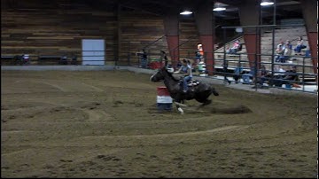 War Gas Jazz - 5/3/12 barrel race - 17.066 - just out of the money in the 3D! - Valley View Ranch