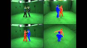 Markerless motion capture of interacting characters from multi-view video.avi