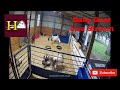 Howells Live stream of our goat nursery