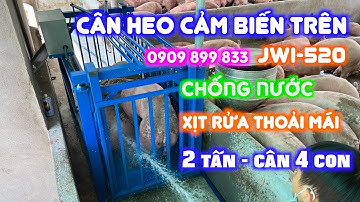 Cân điện tử cân heo cân lợn CẢM BIẾN TRÊN chống chuột chống nước - giao trại heo anh Tý ở Đồng Nai