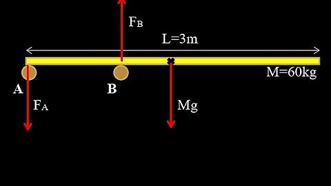 Static equilibrium heavy diving board with two supports.  Diving board physics equilibrium problem.