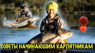 Рыбалка. Трофейный поводок для КРУПНОЙ РЫБЫ . Ловля карпа . Русская рыбалка 2025