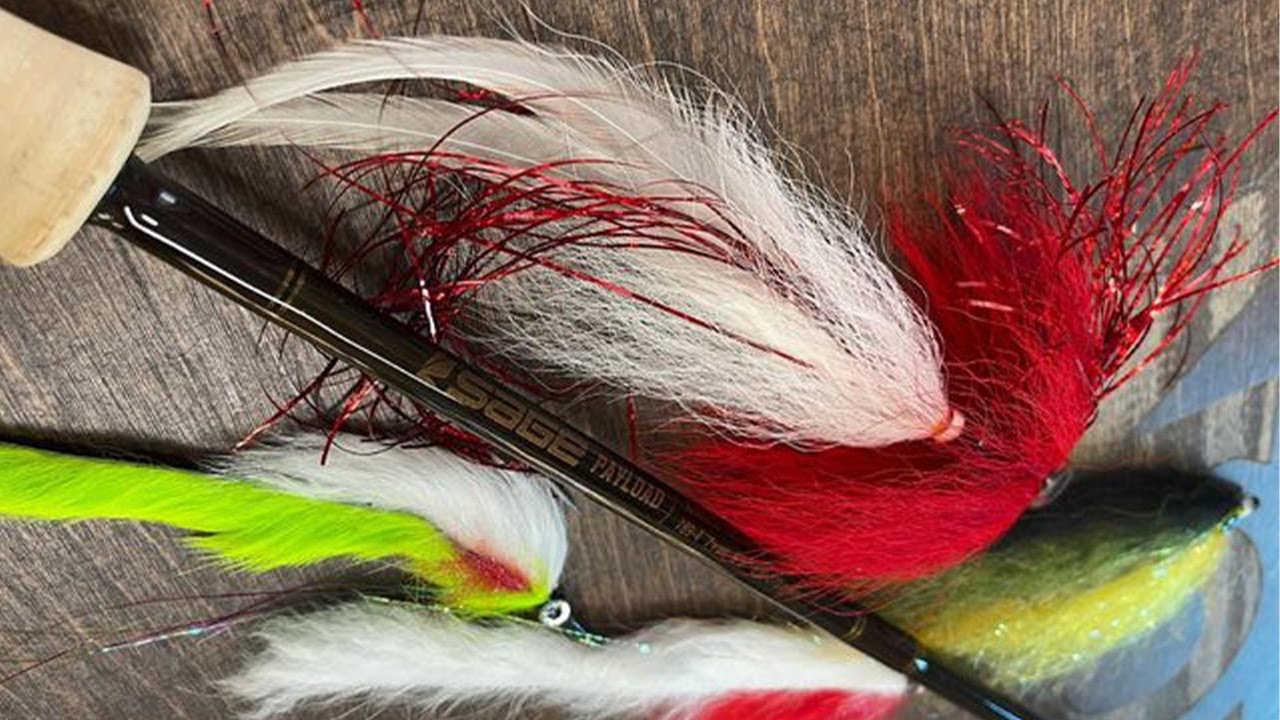 Gear Reviews & What's New | Sage Payload