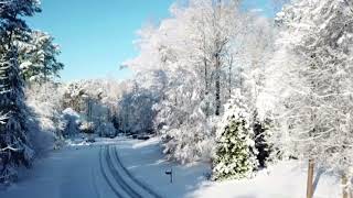 HD - Wake Forest, NC - day after the snow storm