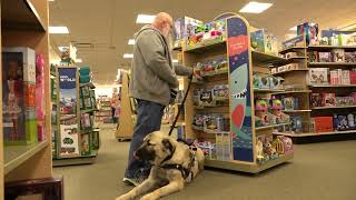 Anthony and his service dog Heimdall